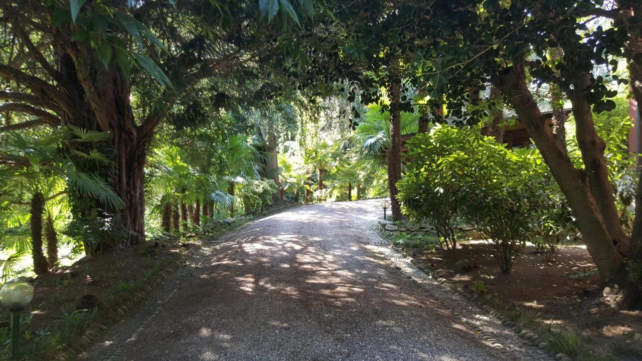 Villa Magnolia Lago Maggiore Besozzo Eksteriør billede