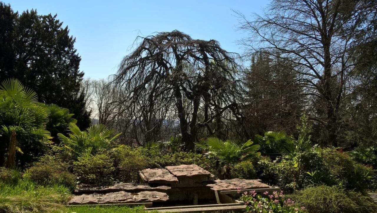 Villa Magnolia Lago Maggiore Besozzo Eksteriør billede